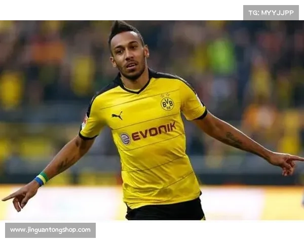 奥巴梅扬不选法国队的五大深层原因揭秘与分析